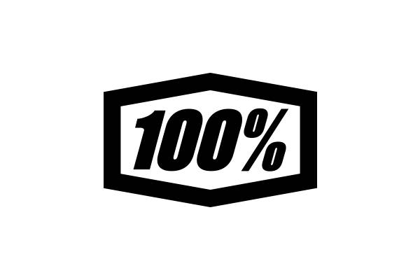 100-logo
